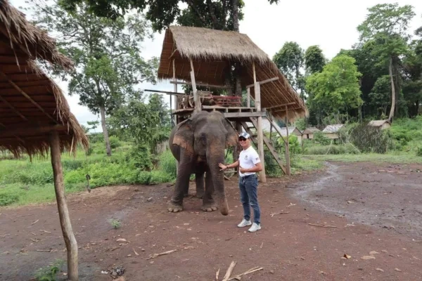 Bun Sath Elephant 1